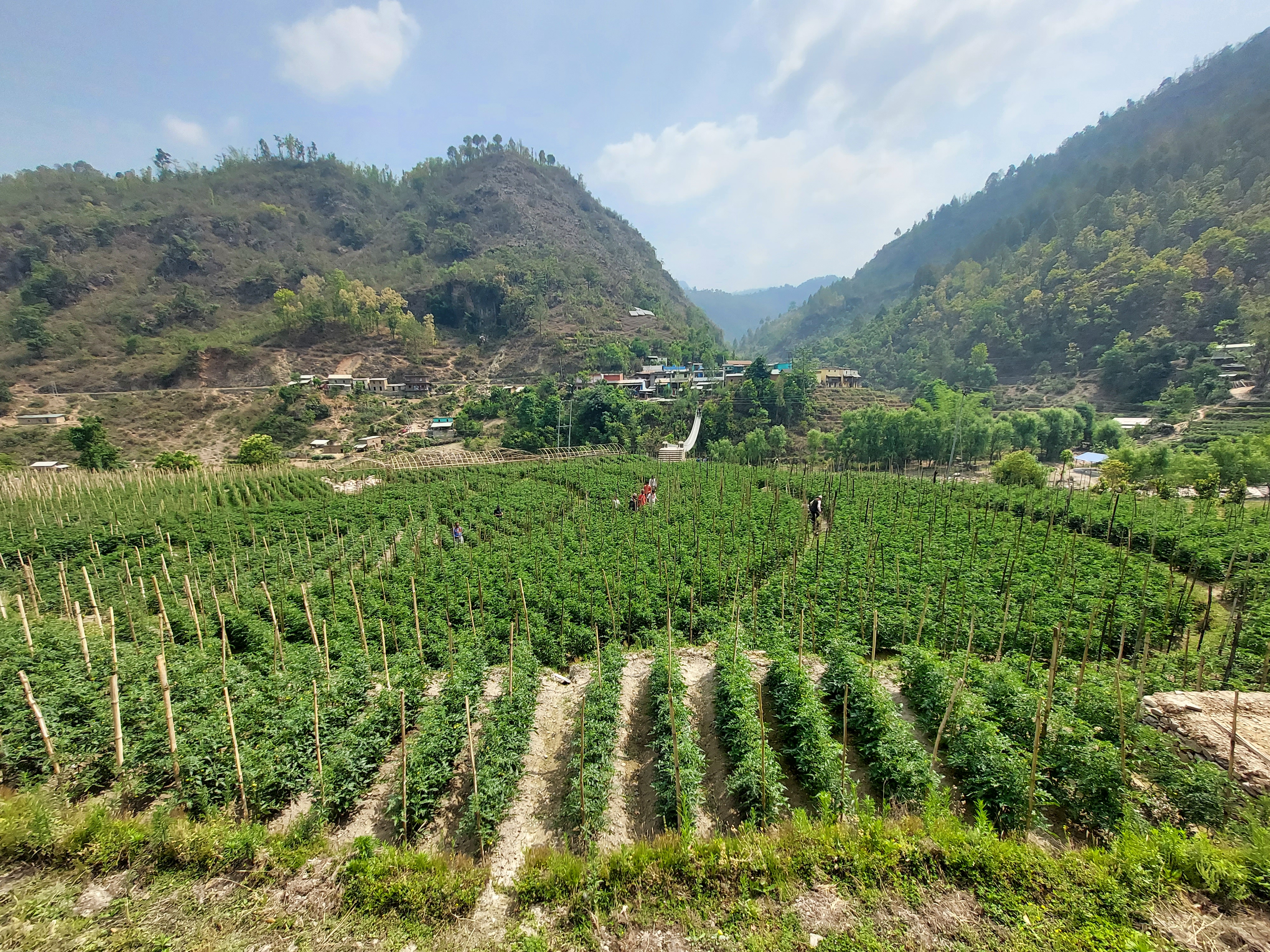 Slider Image: 