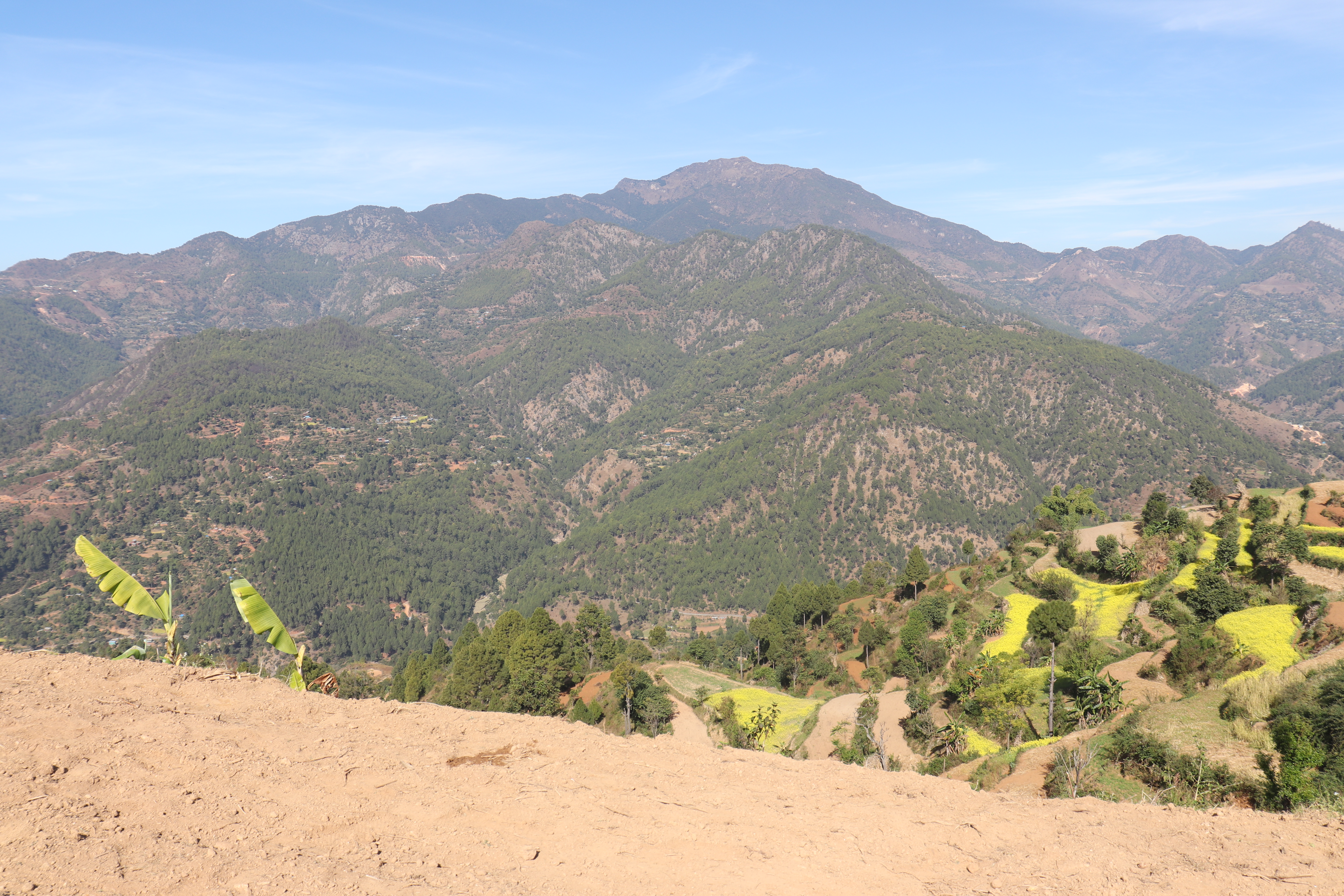 Slider Image: 